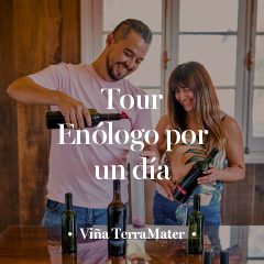 Accesorio_Se En�logo por un d�a